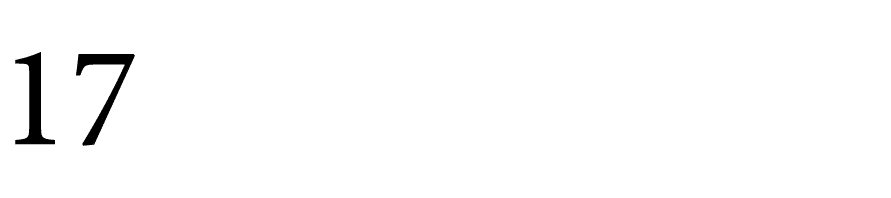 17 ﻿ 