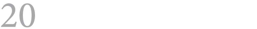 20 ﻿ 