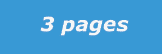  3 pages