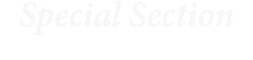 Special Section