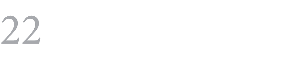 22 ﻿ 
