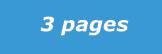  3 pages