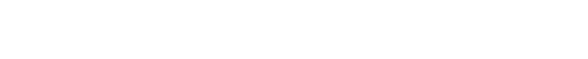 Guerrilla Strike Force