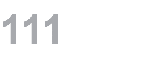 111 ﻿ 