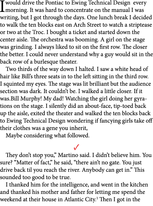 I would drive the Pontiac to ﻿Ewing Technical Design every morning. It was hard to concentrate on the manual I was wr...