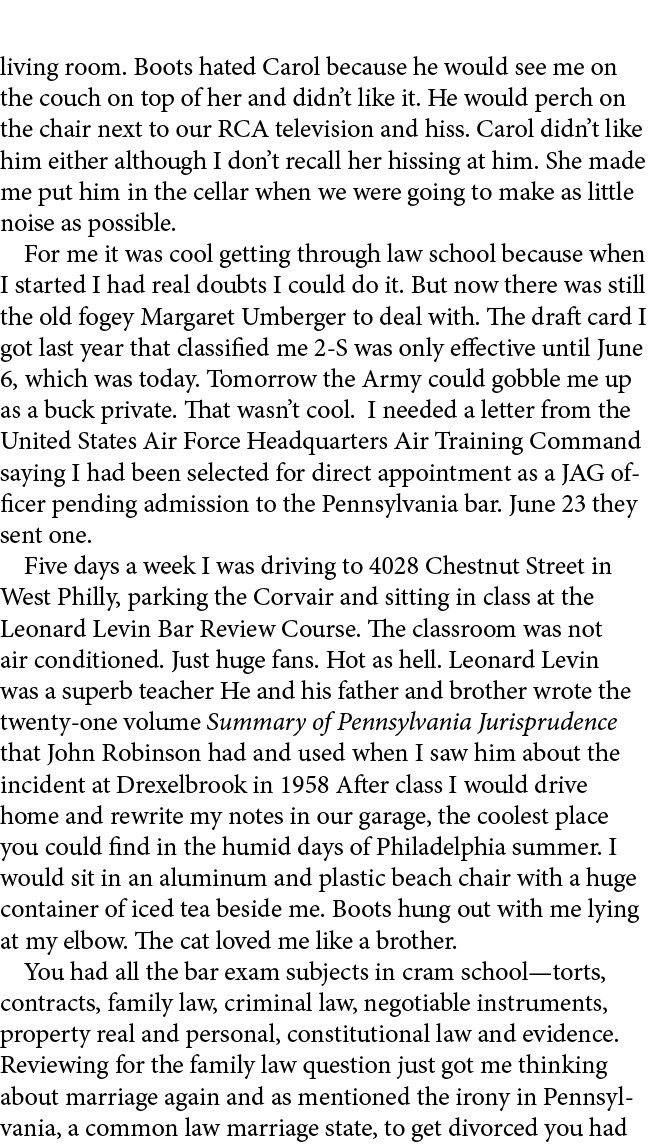 living room. Boots hated Carol because he would see me on the couch on top of her and didn’t like it. He would perch ...
