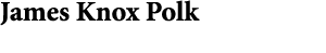 James Knox Polk