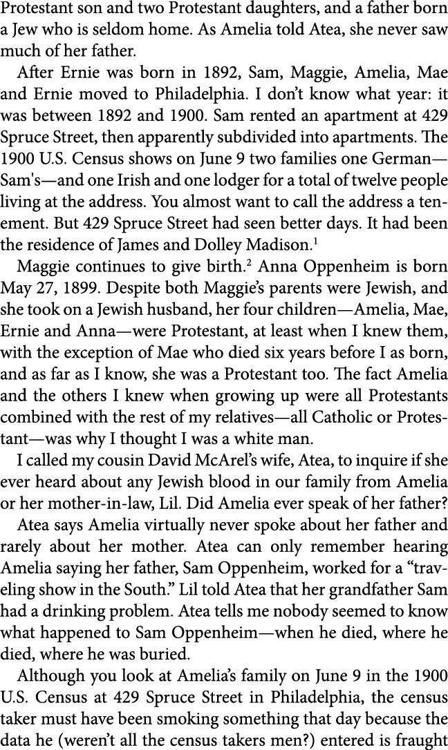 Protestant son and two ﻿Protestant daughters, and a father born a Jew who is seldom home. As Amelia told Atea, she n...