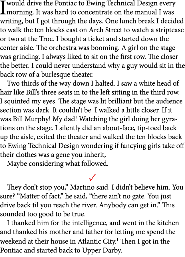 I would drive the Pontiac to ﻿Ewing Technical Design every morning. It was hard to concentrate on the manual I was wr...
