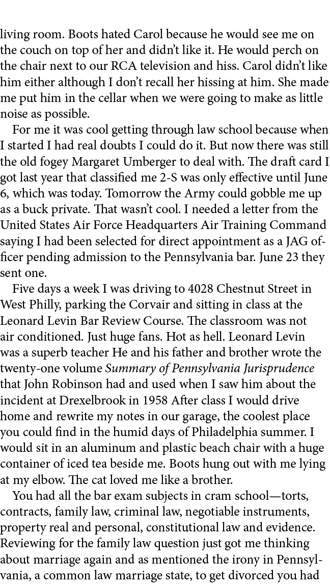 living room. Boots hated Carol because he would see me on the couch on top of her and didn’t like it. He would perch ...