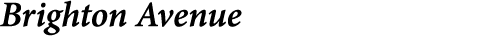 Brighton Avenue
