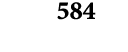 584