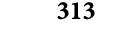 313
