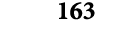 163