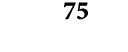 75