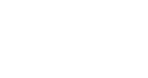 1991 The Electric Lawyer