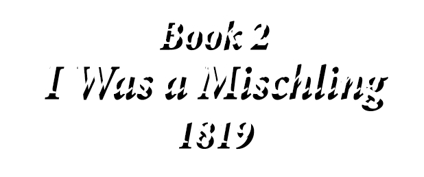 Book 2 I Was a Mischling 1819