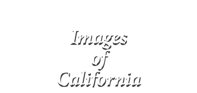  Images of California