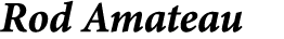 Rod Amateau