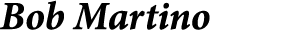 Bob Martino