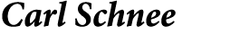 Carl Schnee