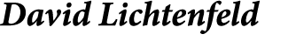 David Lichtenfeld