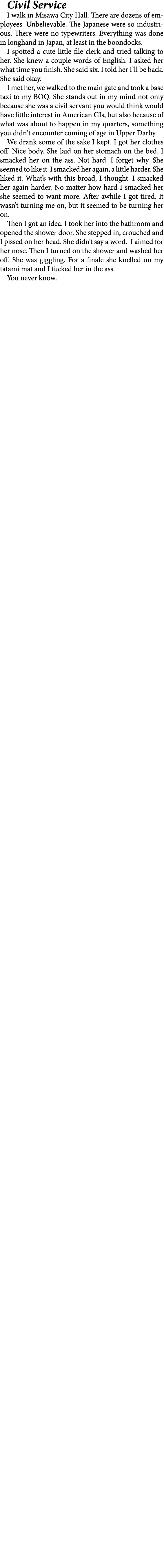 Civil Service I walk in Misawa City Hall. There are dozens of employees. Unbelievable. The Japanese were so industrio...