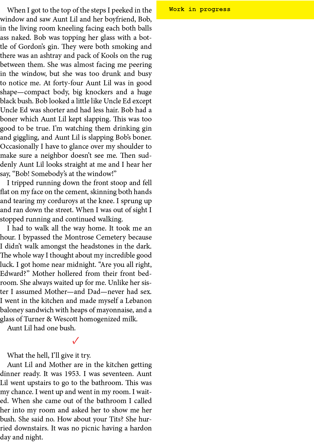 When I got to the top of the steps I peeked in the window and saw Aunt Lil and her boyfriend, Bob, in the living room...