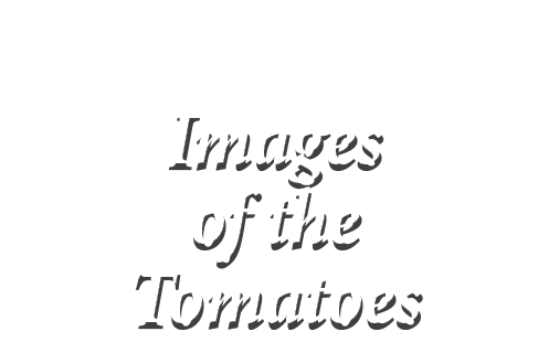  Images of the Tomatoes