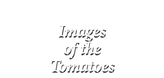  Images of the Tomatoes