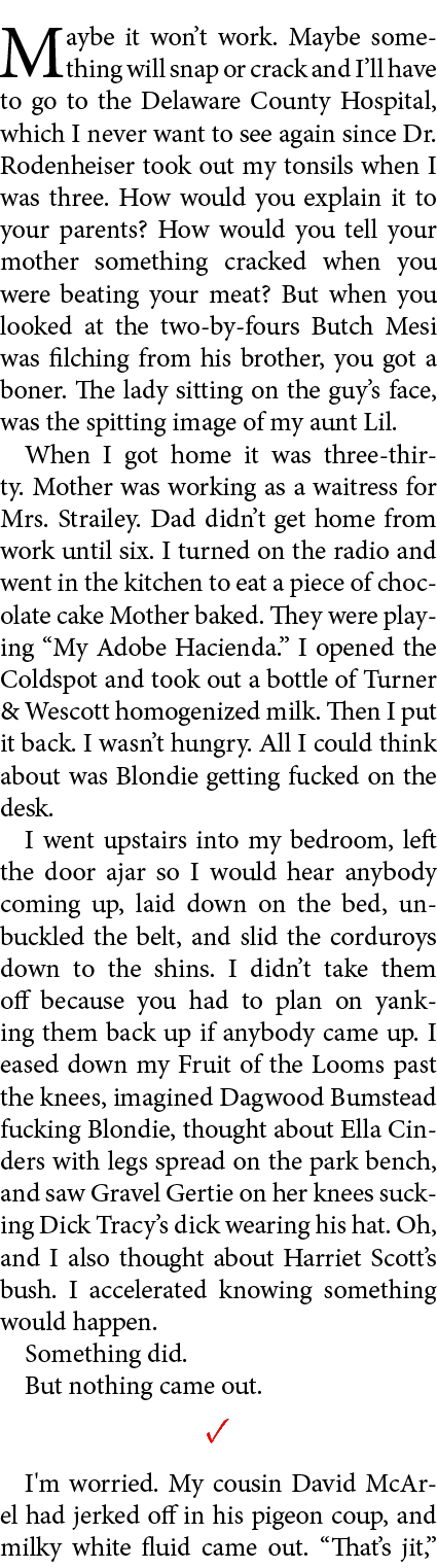 Maybe it won’t work. Maybe something will snap or crack and I’ll have to go to the ﻿Delaware County Hospital, which I...