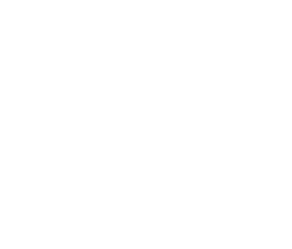 PURPLE MEANS CODED