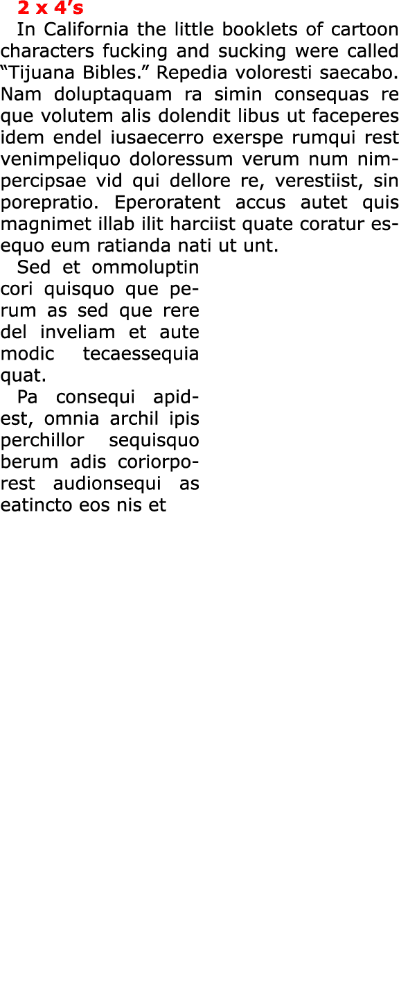 2 x 4’s In California the little booklets of cartoon characters fucking and sucking were called “Tijuana Bibles.” Re...